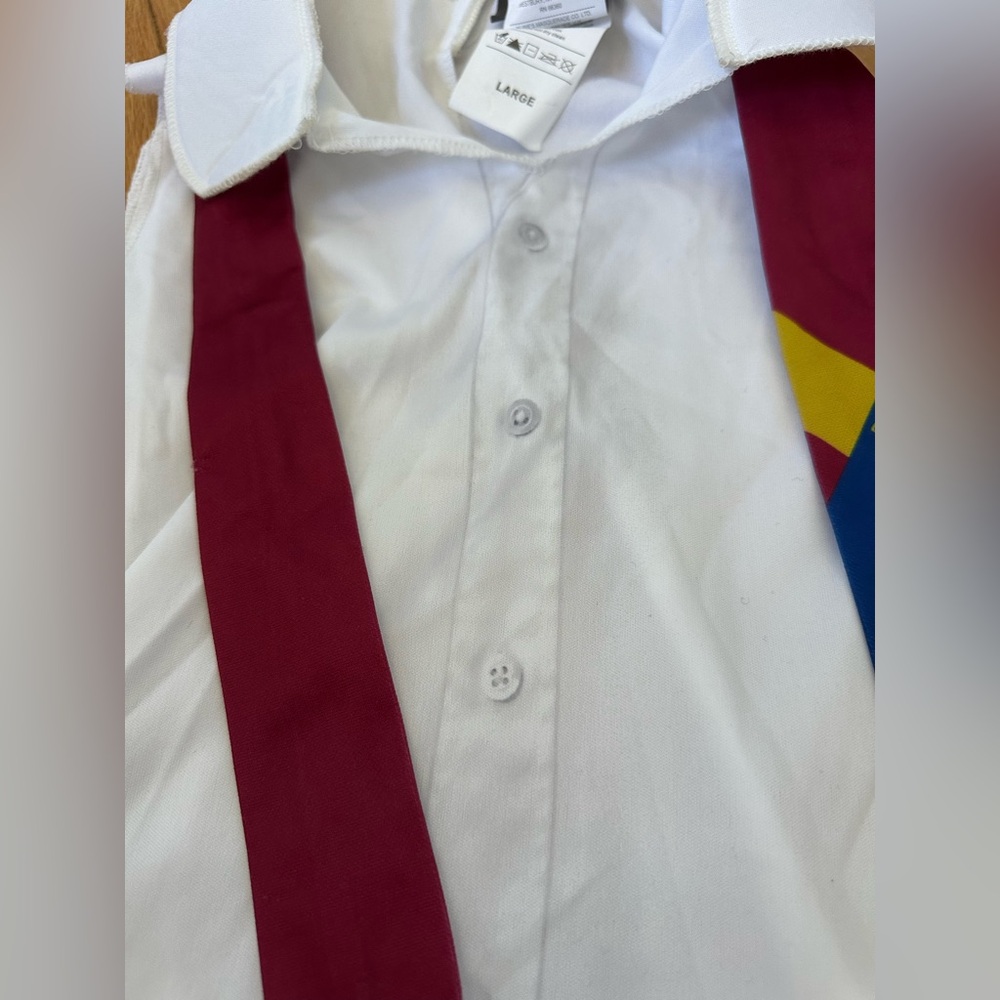 Girl’s BeetleJuice Halloween Costume Size Large - Picture 7 of 14